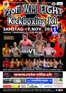 Profi WM Fight Kickboxing K1in Wil