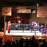 Photo_Boxring_Volketswil_2013